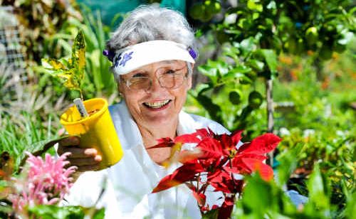 GREEN FRIEND: Lorna Bryant and her selection of plants for sale at tomorrow’s Narranga fete. GREEN FRIEND: Lorna Bryant and her selection of plants for sale at tomorrow’s Narranga fete.